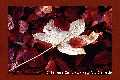 Herbst.jpg (2869 Byte)