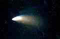 halley.jpg (1112 Byte)